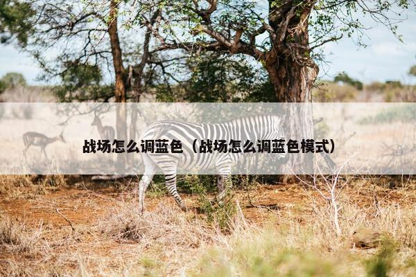 战场怎么调蓝色（战场怎么调蓝色模式）