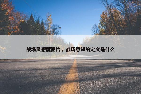 战场灵感度图片，战场感知的定义是什么