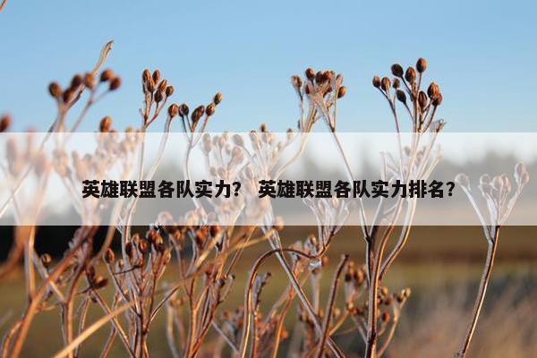 英雄联盟各队实力？ 英雄联盟各队实力排名？