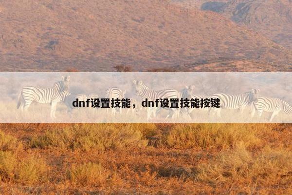 dnf设置技能，dnf设置技能按键