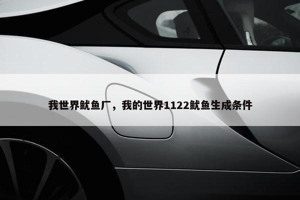 我世界鱿鱼厂，我的世界1122鱿鱼生成条件