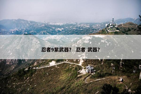 忍者9紫武器？ 忍者 武器？