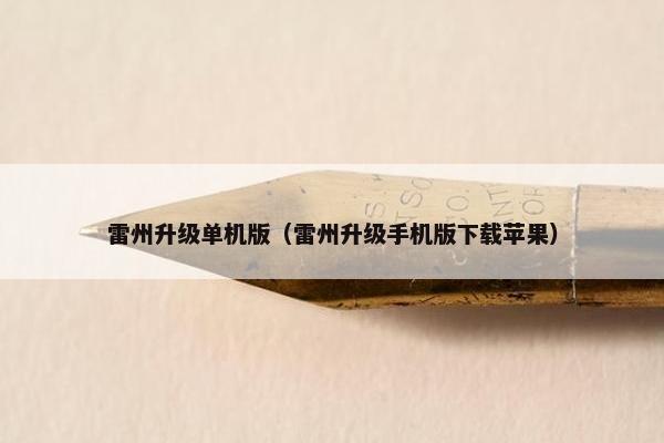 雷州升级单机版（雷州升级手机版下载苹果）