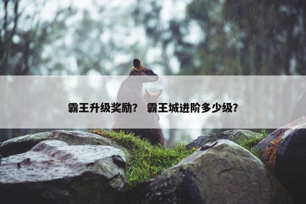 霸王升级奖励？ 霸王城进阶多少级？