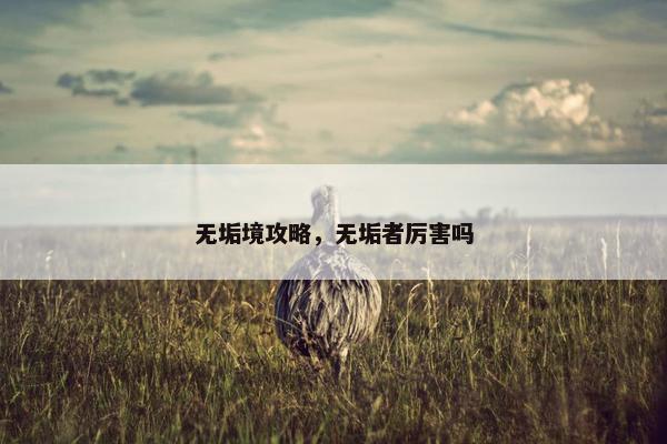 无垢境攻略，无垢者厉害吗
