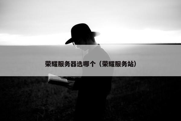 荣耀服务器选哪个（荣耀服务站）