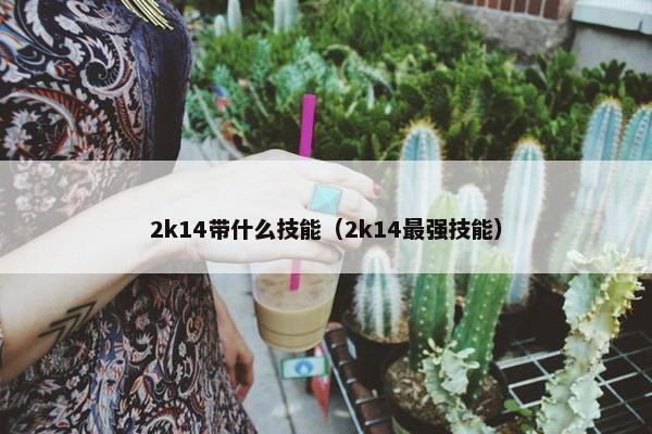 2k14带什么技能（2k14最强技能）