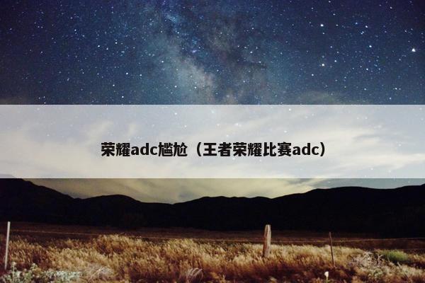 荣耀adc尴尬（王者荣耀比赛adc）