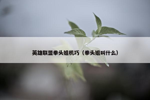 英雄联盟拳头姐机巧（拳头姐叫什么）
