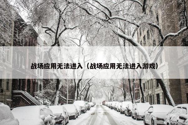 战场应用无法进入（战场应用无法进入游戏）