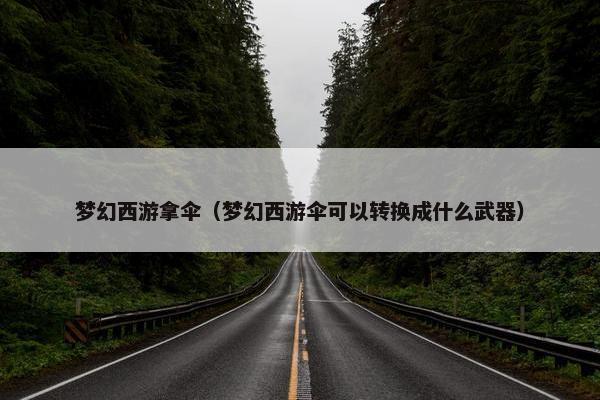 梦幻西游拿伞（梦幻西游伞可以转换成什么武器）
