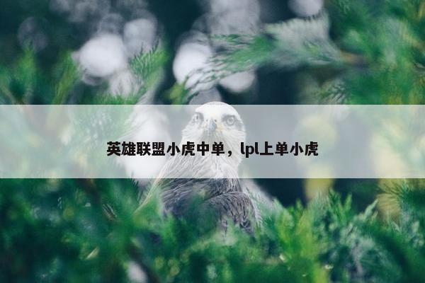 英雄联盟小虎中单，lpl上单小虎