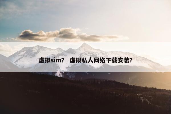 虚拟sim？ 虚拟私人网络下载安装？