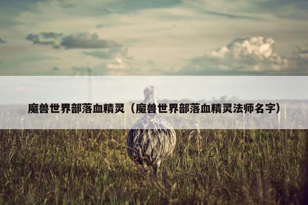 魔兽世界部落血精灵（魔兽世界部落血精灵法师名字）