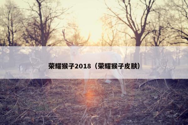 荣耀猴子2018(荣耀猴子皮肤) 荣耀猴子2018(荣耀猴子皮肤)