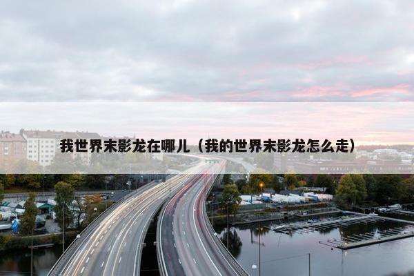 我世界末影龙在哪儿（我的世界末影龙怎么走）