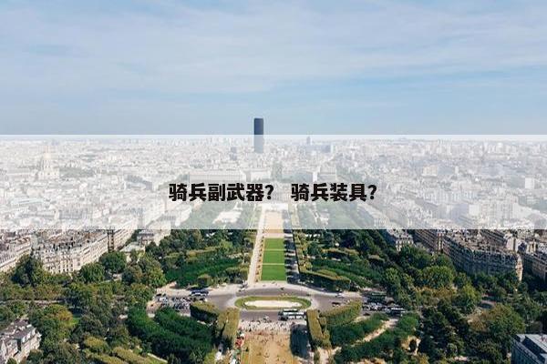 骑兵副武器？ 骑兵装具？