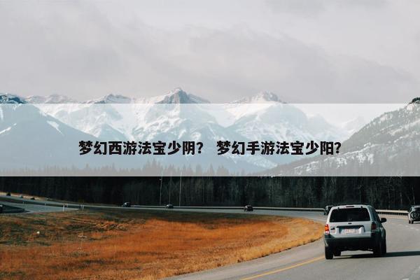梦幻西游法宝少阴？ 梦幻手游法宝少阳？