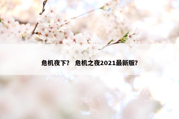 危机夜下？ 危机之夜2021最新版？