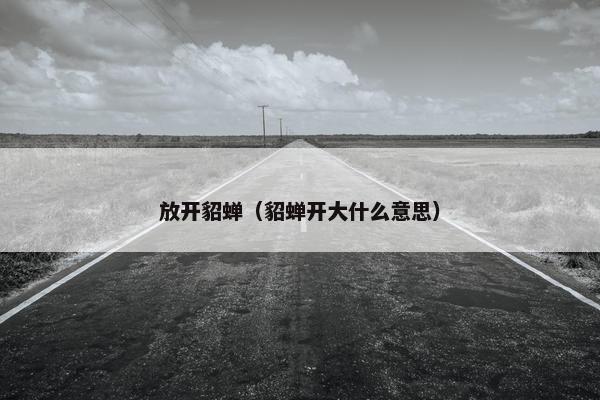 放开貂蝉（貂蝉开大什么意思）