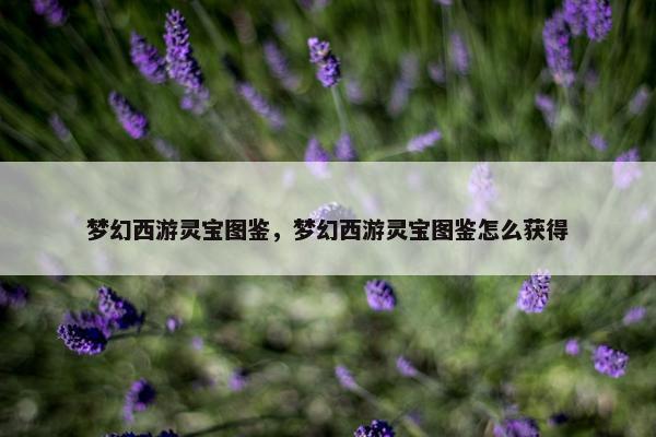 梦幻西游灵宝图鉴，梦幻西游灵宝图鉴怎么获得