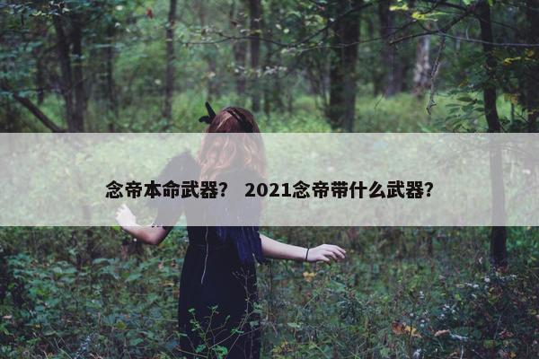念帝本命武器？ 2021念帝带什么武器？