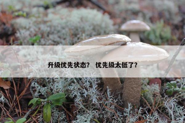 升级优先状态？ 优先级太低了？
