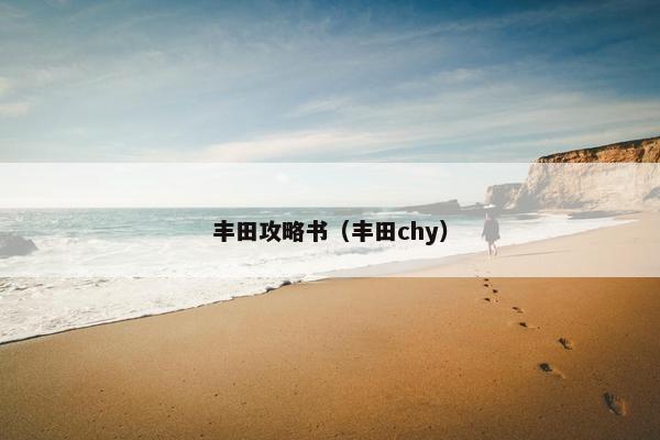 丰田攻略书（丰田chy）