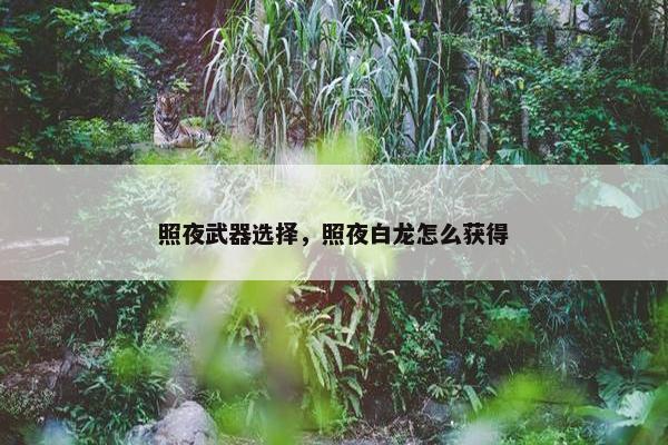 照夜武器选择，照夜白龙怎么获得