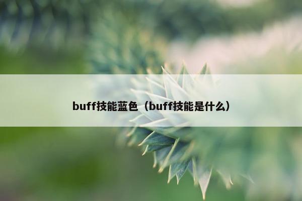 buff技能蓝色（buff技能是什么）