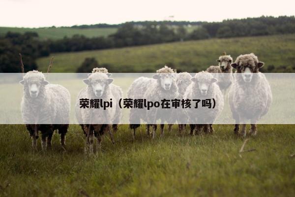 荣耀lpi（荣耀lpo在审核了吗）