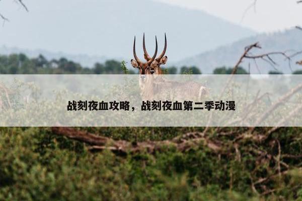 战刻夜血攻略，战刻夜血第二季动漫