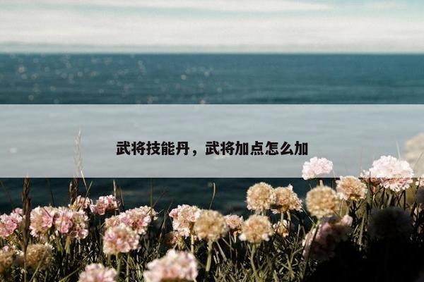 武将技能丹，武将加点怎么加