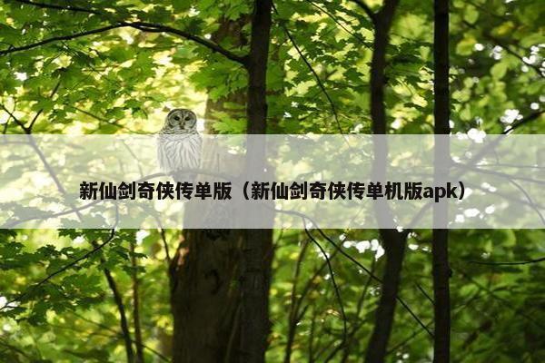 新仙剑奇侠传单版（新仙剑奇侠传单机版apk）