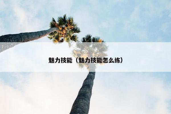 魅力技能（魅力技能怎么练）