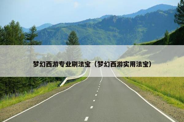 梦幻西游专业刷法宝（梦幻西游实用法宝）