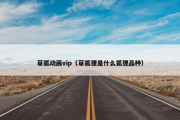 草狐动画vip（草狐狸是什么狐狸品种）