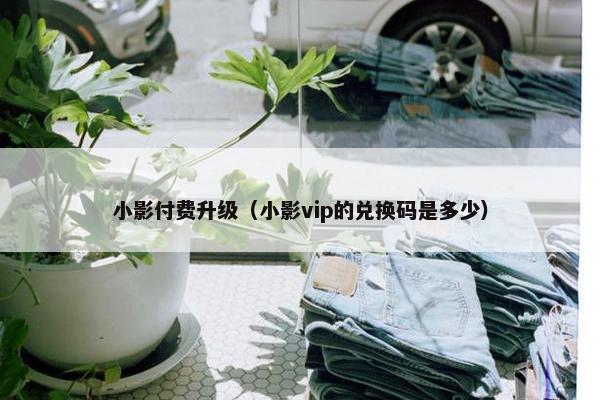 小影付费升级（小影vip的兑换码是多少）