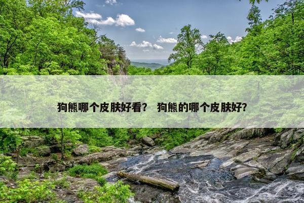 狗熊哪个皮肤好看？ 狗熊的哪个皮肤好？
