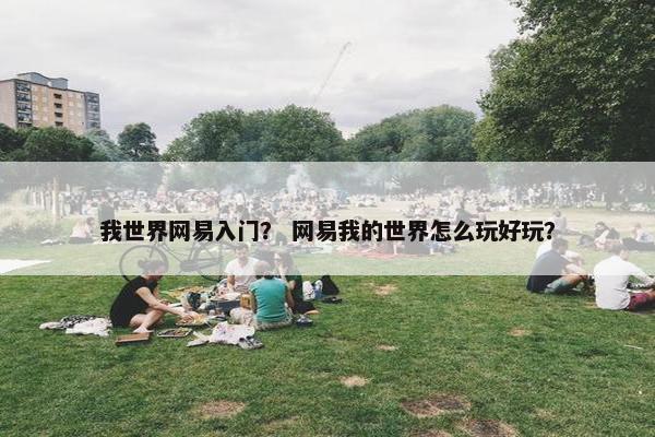 我世界网易入门？ 网易我的世界怎么玩好玩？