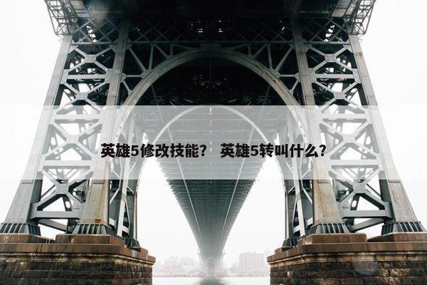英雄5修改技能？ 英雄5转叫什么？
