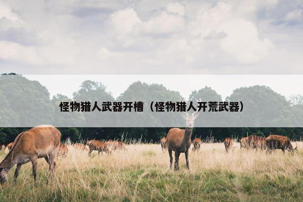 怪物猎人武器开槽（怪物猎人开荒武器）