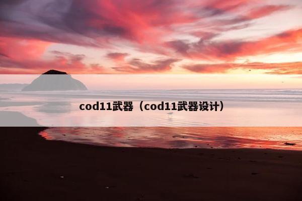 cod11武器（cod11武器设计）