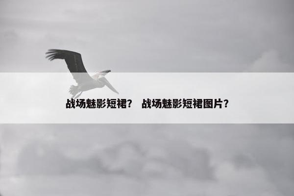 战场魅影短裙？ 战场魅影短裙图片？