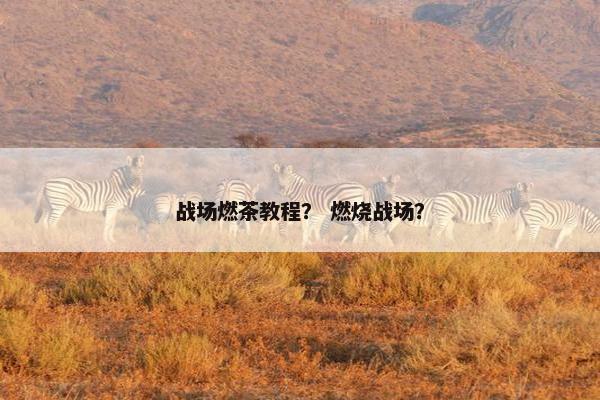战场燃茶教程？ 燃烧战场？