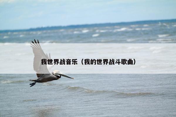 我世界战音乐（我的世界战斗歌曲）