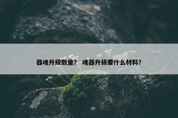 器魂升级数量？ 魂器升级要什么材料？