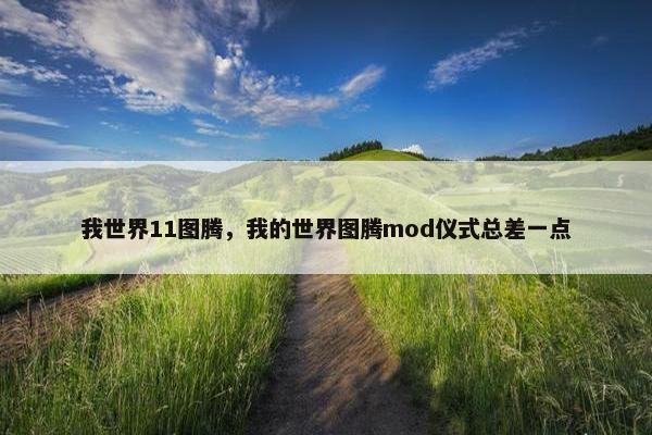 我世界11图腾，我的世界图腾mod仪式总差一点