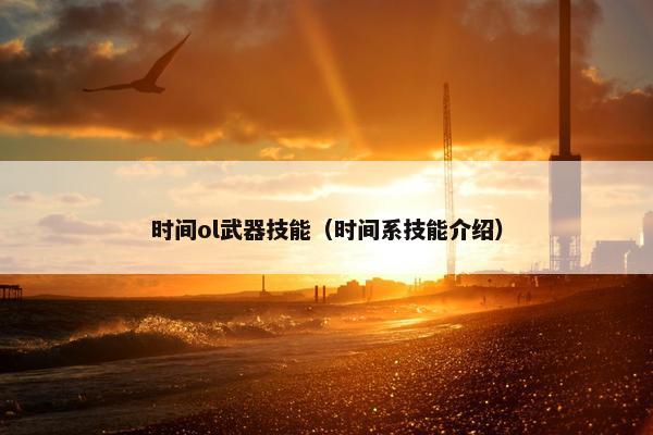 时间ol武器技能（时间系技能介绍）