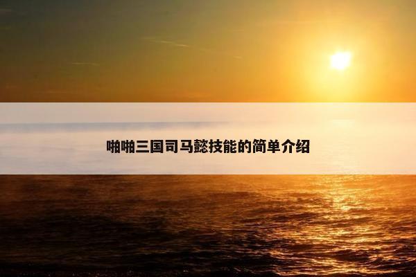 啪啪三国司马懿技能的简单介绍